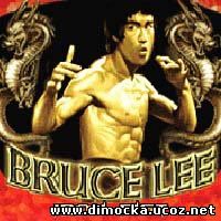 Bruce Lee Iron Fist 3D