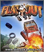 Flat Out 3D