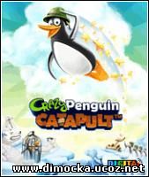 Crazy Pinguin 